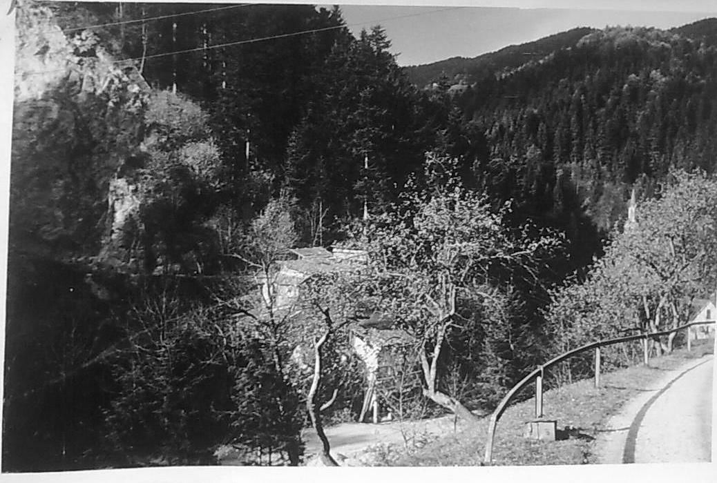 http://shramba.lovrenc.net/maxi/klepet/06032012001-posavski-pru.jpg