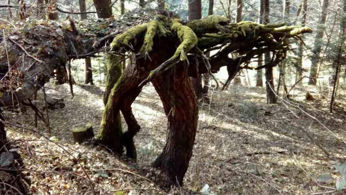 http://shramba.lovrenc.net/maxi/klepet/20170310104347.jpg
