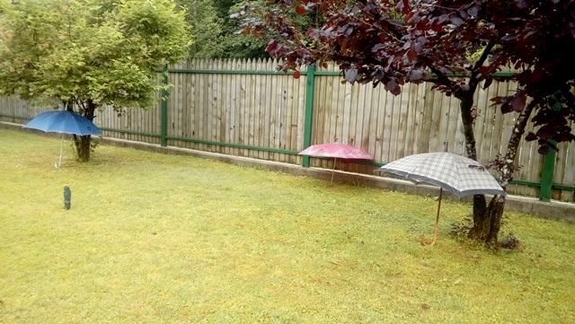http://shramba.lovrenc.net/maxi/klepet/20170601104351.jpg