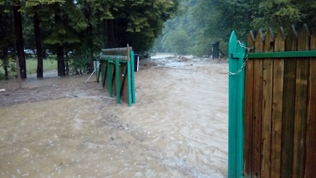 http://shramba.lovrenc.net/maxi/klepet/20170601181654slepnica-p.jpg