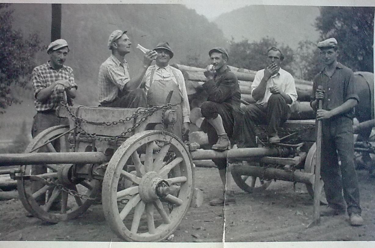 http://shramba.lovrenc.net/maxi/klepet/7c66na-ruti-zeja-po-razb.jpg