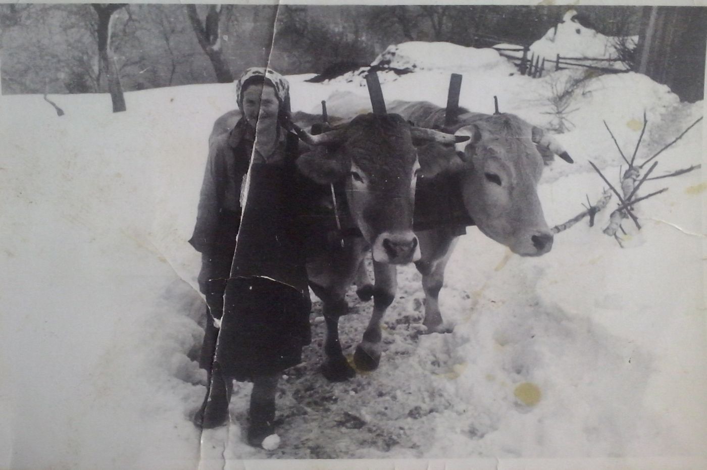 http://shramba.lovrenc.net/maxi/klepet/cam00940.jpg
