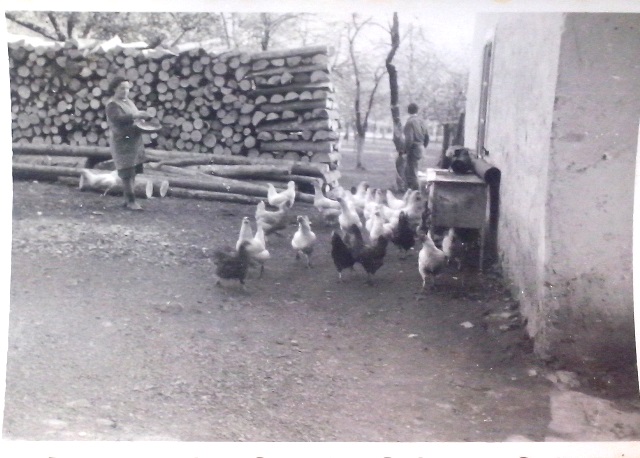 http://shramba.lovrenc.net/maxi/klepet/cam00949.jpg