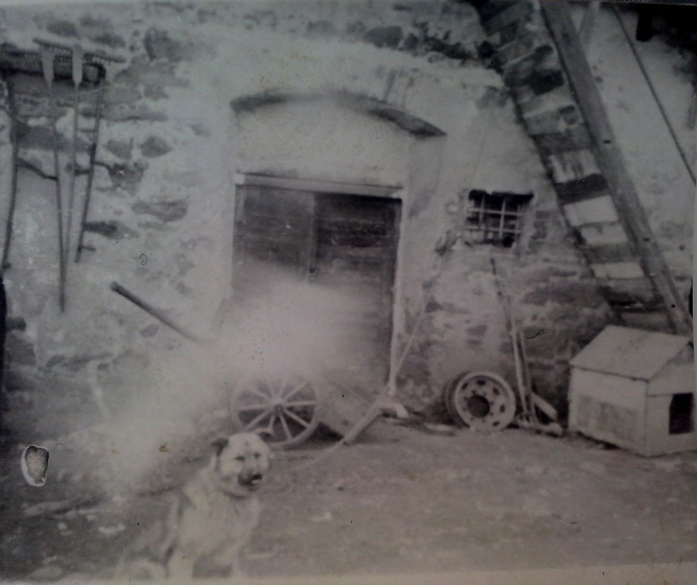 http://shramba.lovrenc.net/maxi/klepet/cam00961-v-sp-trgu.jpg