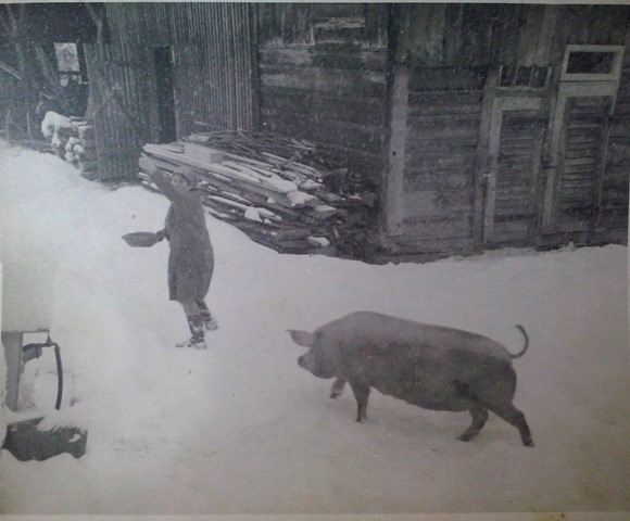 http://shramba.lovrenc.net/maxi/klepet/cam00976.jpg