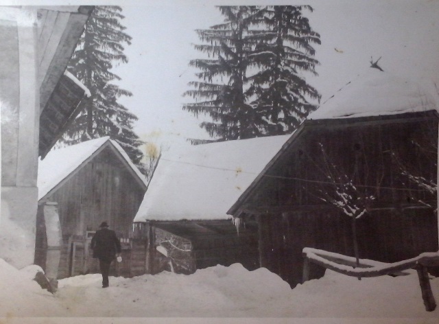 http://shramba.lovrenc.net/maxi/klepet/cam00977.jpg