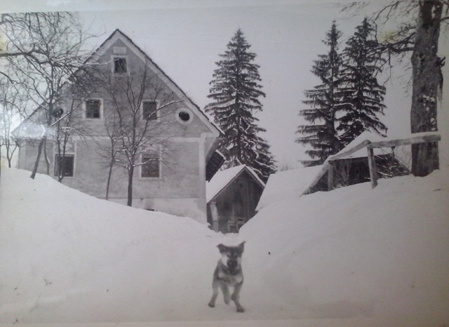 http://shramba.lovrenc.net/maxi/klepet/cam00979.jpg