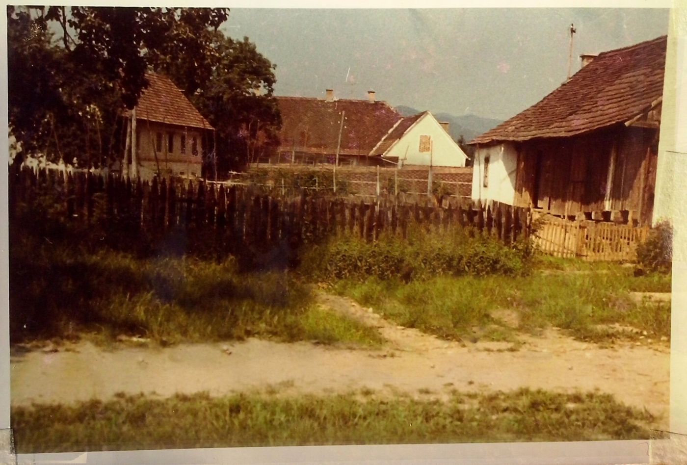 http://shramba.lovrenc.net/maxi/klepet/cam01186.jpg