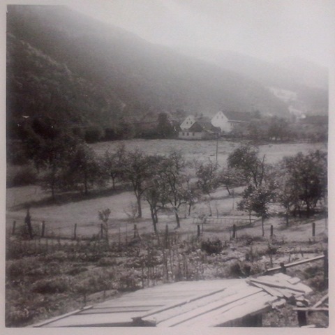 http://shramba.lovrenc.net/maxi/klepet/cam01264.jpg