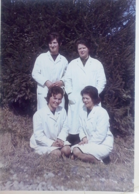 http://shramba.lovrenc.net/maxi/klepet/cam01377.jpg