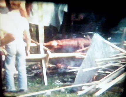 http://shramba.lovrenc.net/maxi/klepet/cam01475.jpg