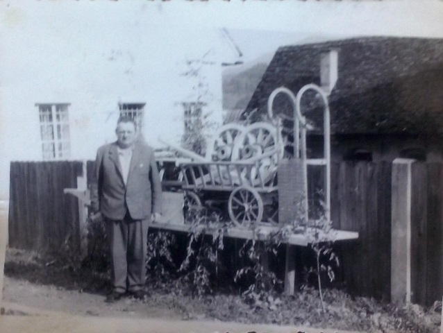 http://shramba.lovrenc.net/maxi/klepet/cam01699-dolinsek-razsta.jpg