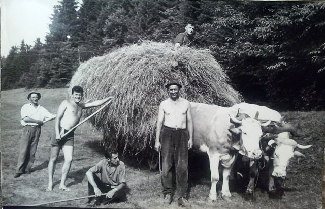 http://shramba.lovrenc.net/maxi/klepet/cam01825.jpg