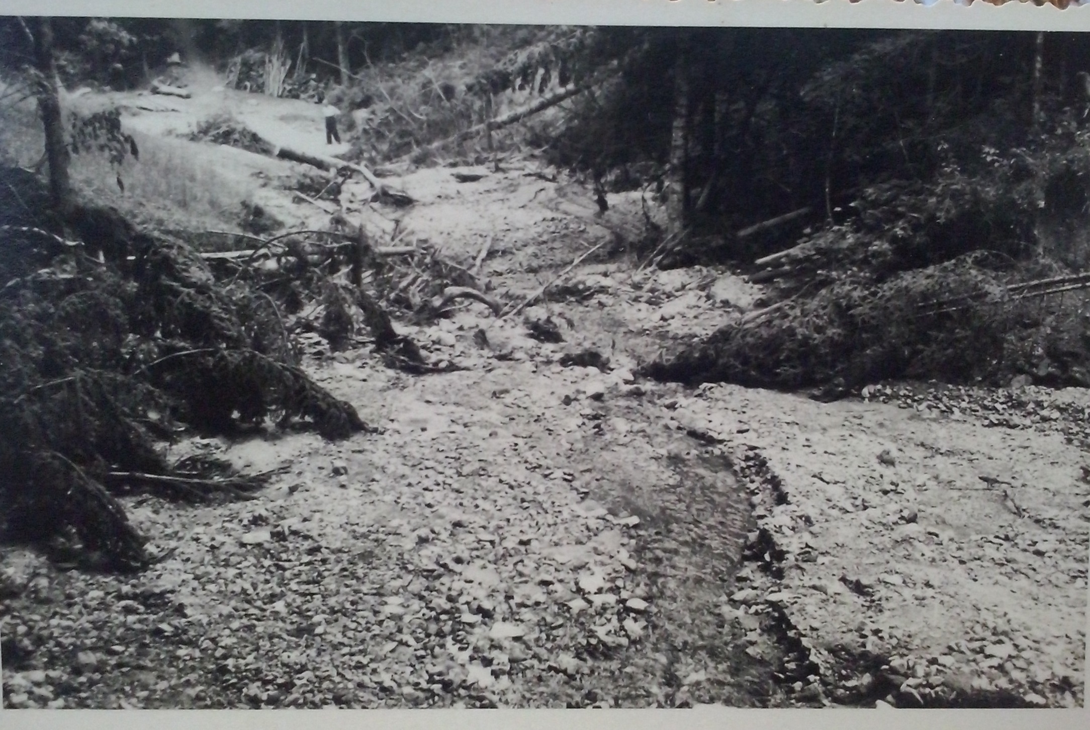 http://shramba.lovrenc.net/maxi/klepet/cam01849-plaz-na-kumenu-.jpg