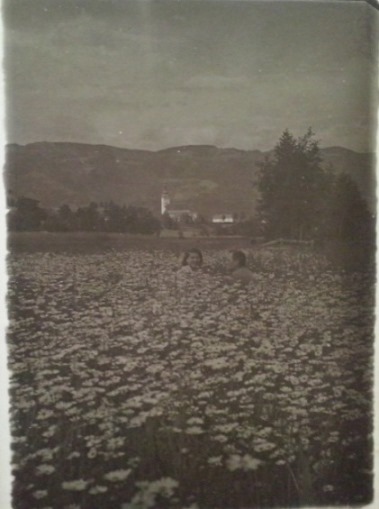 http://shramba.lovrenc.net/maxi/klepet/cam01869.jpg