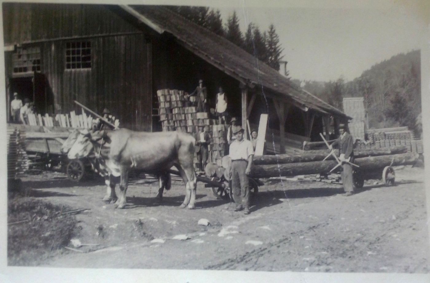 http://shramba.lovrenc.net/maxi/klepet/cam01932-vrencurjeva-zag.jpg