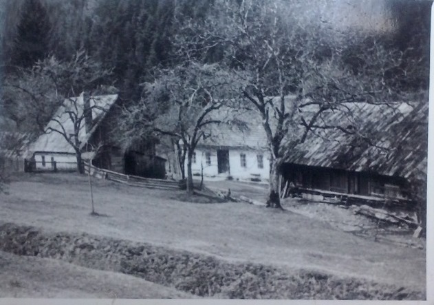 http://shramba.lovrenc.net/maxi/klepet/cam01951hostetarjevo.jpg