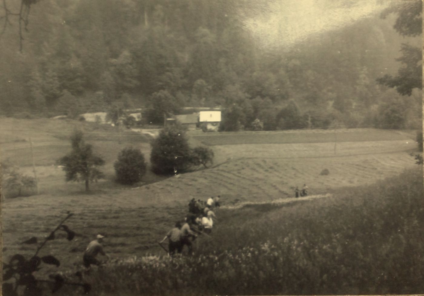 http://shramba.lovrenc.net/maxi/klepet/cam01952proti-cinkovi-ve.jpg