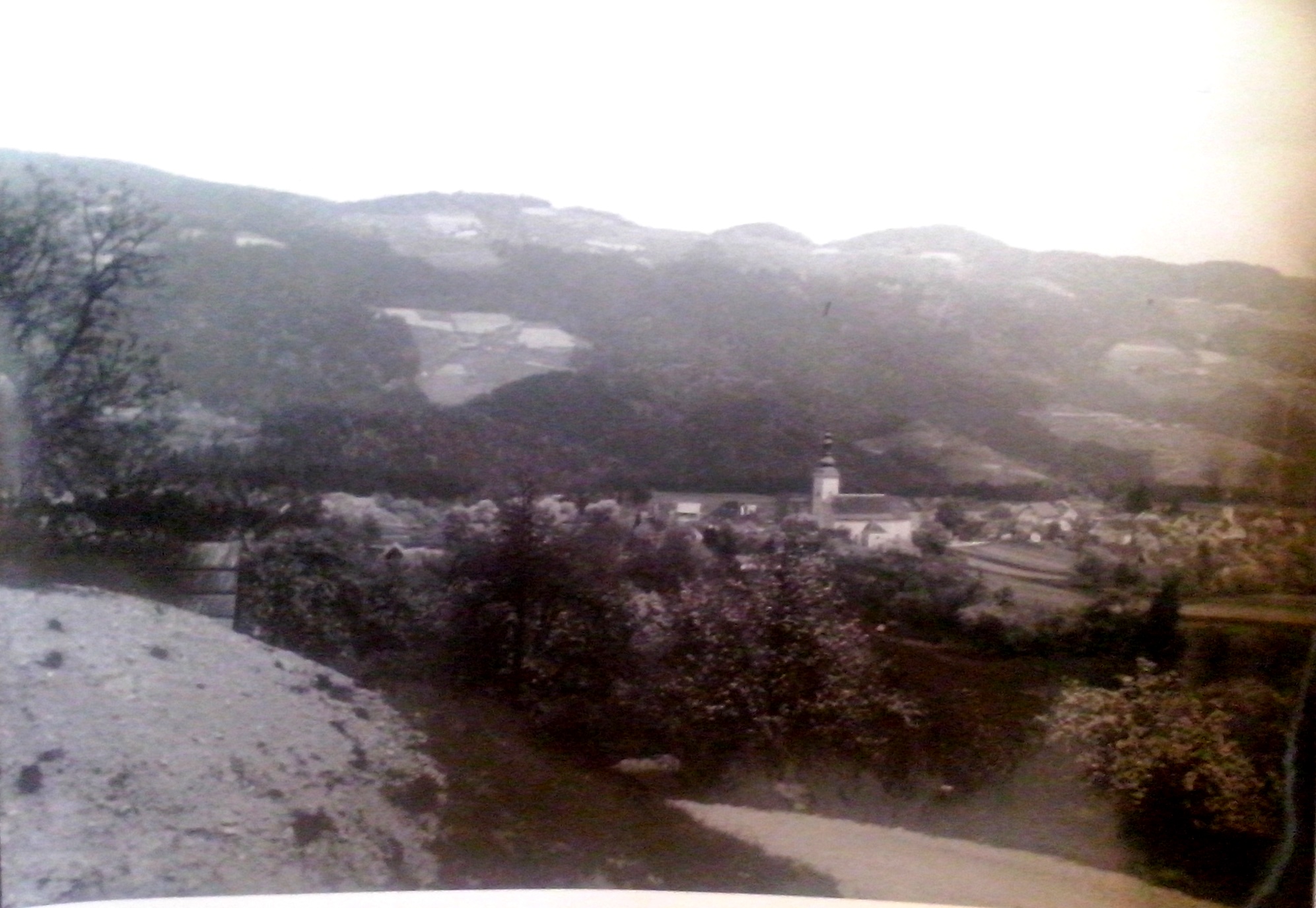 http://shramba.lovrenc.net/maxi/klepet/cam02041od-kurjenkov-rid.jpg