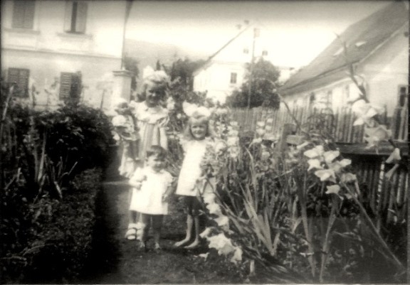 http://shramba.lovrenc.net/maxi/klepet/cam02043.jpg