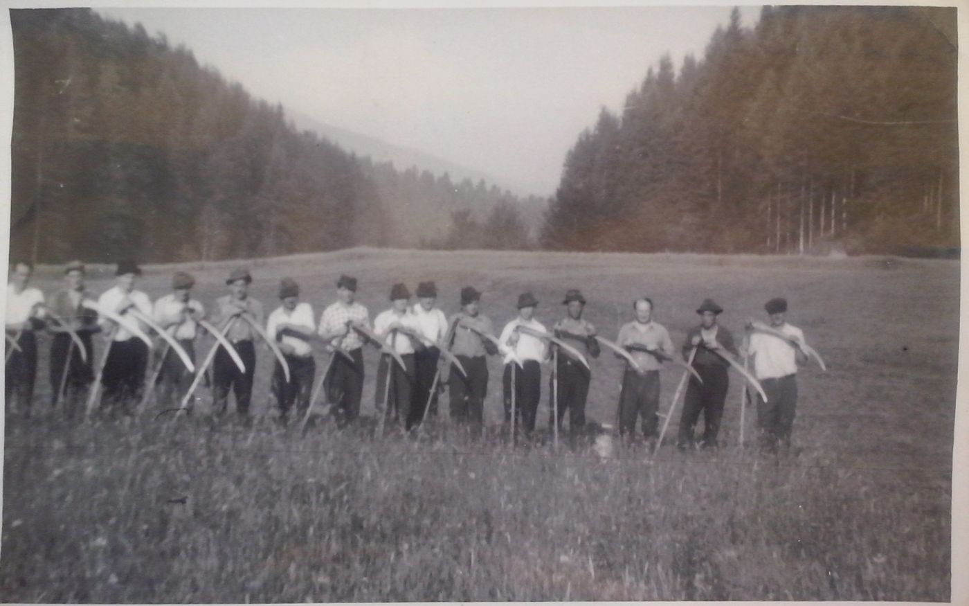 http://shramba.lovrenc.net/maxi/klepet/cam02272.jpg