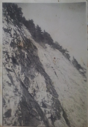 http://shramba.lovrenc.net/maxi/klepet/cam02845posavski-pruh.jpg