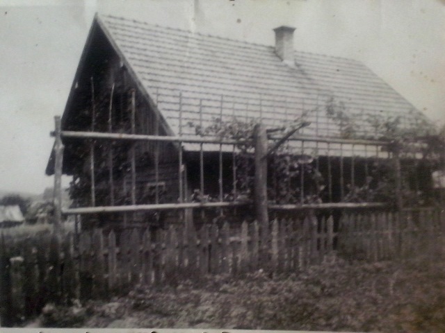 http://shramba.lovrenc.net/maxi/klepet/cam02855.jpg