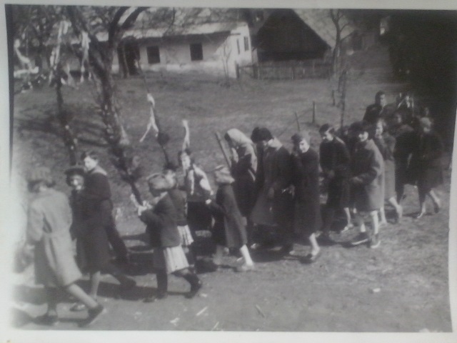 http://shramba.lovrenc.net/maxi/klepet/cam02860.jpg