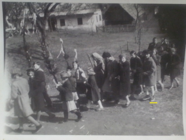 http://shramba.lovrenc.net/maxi/klepet/cam028602.jpg
