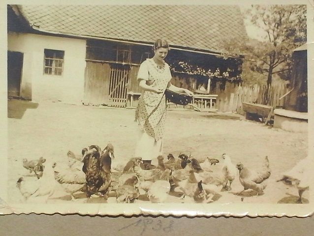 http://shramba.lovrenc.net/maxi/klepet/cam02921.jpg