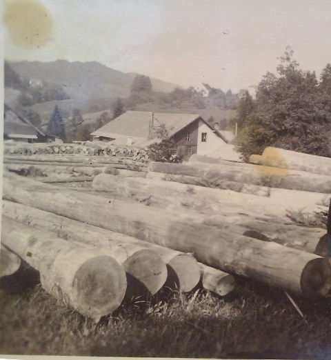 http://shramba.lovrenc.net/maxi/klepet/cam02996.jpg
