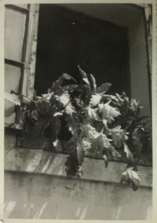 http://shramba.lovrenc.net/maxi/klepet/cam03039.jpg