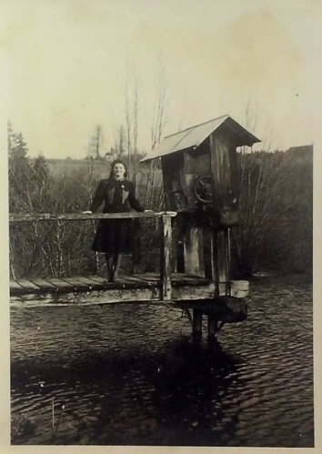 http://shramba.lovrenc.net/maxi/klepet/cam03075.jpg