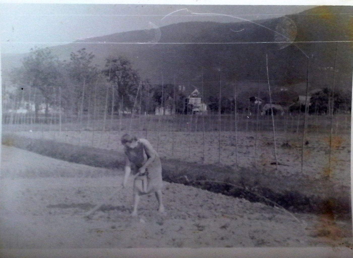 http://shramba.lovrenc.net/maxi/klepet/cam03828-na-njivi-pusaza.jpg