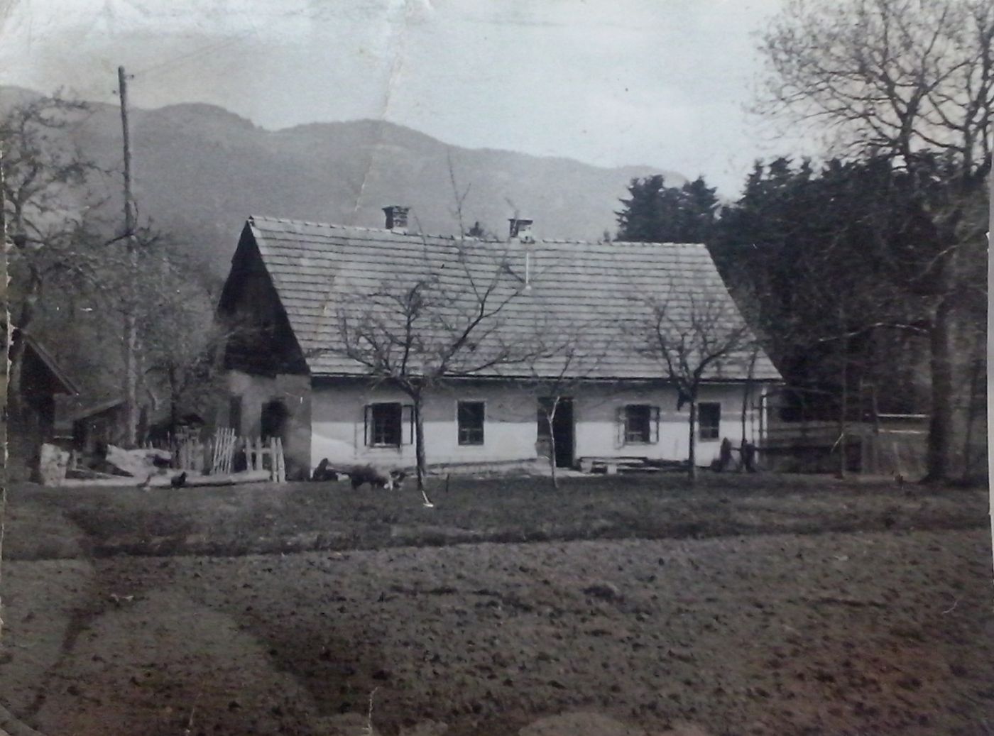 http://shramba.lovrenc.net/maxi/klepet/cam03837.jpg