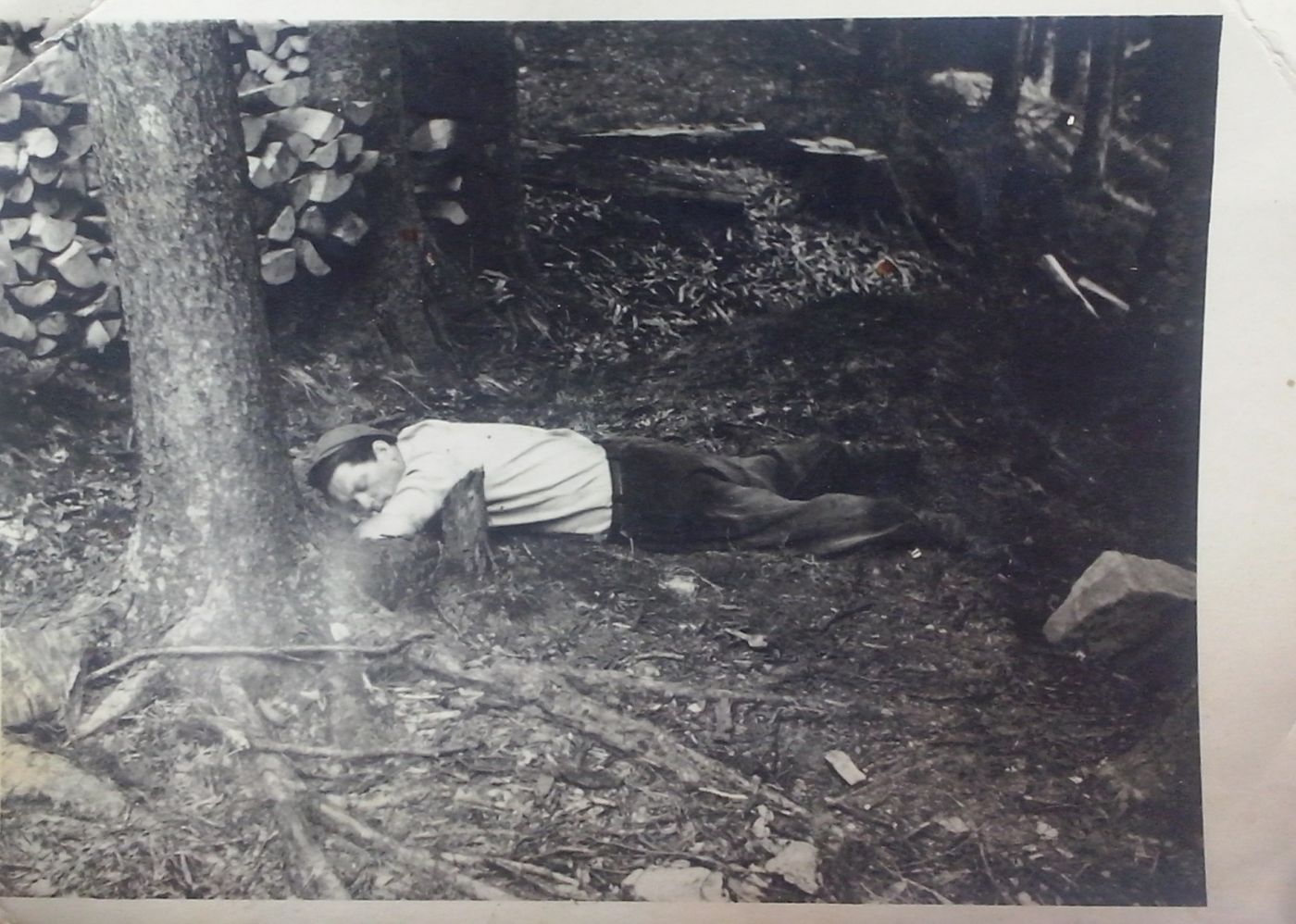 http://shramba.lovrenc.net/maxi/klepet/cam03841utrinek-pocitek-.jpg