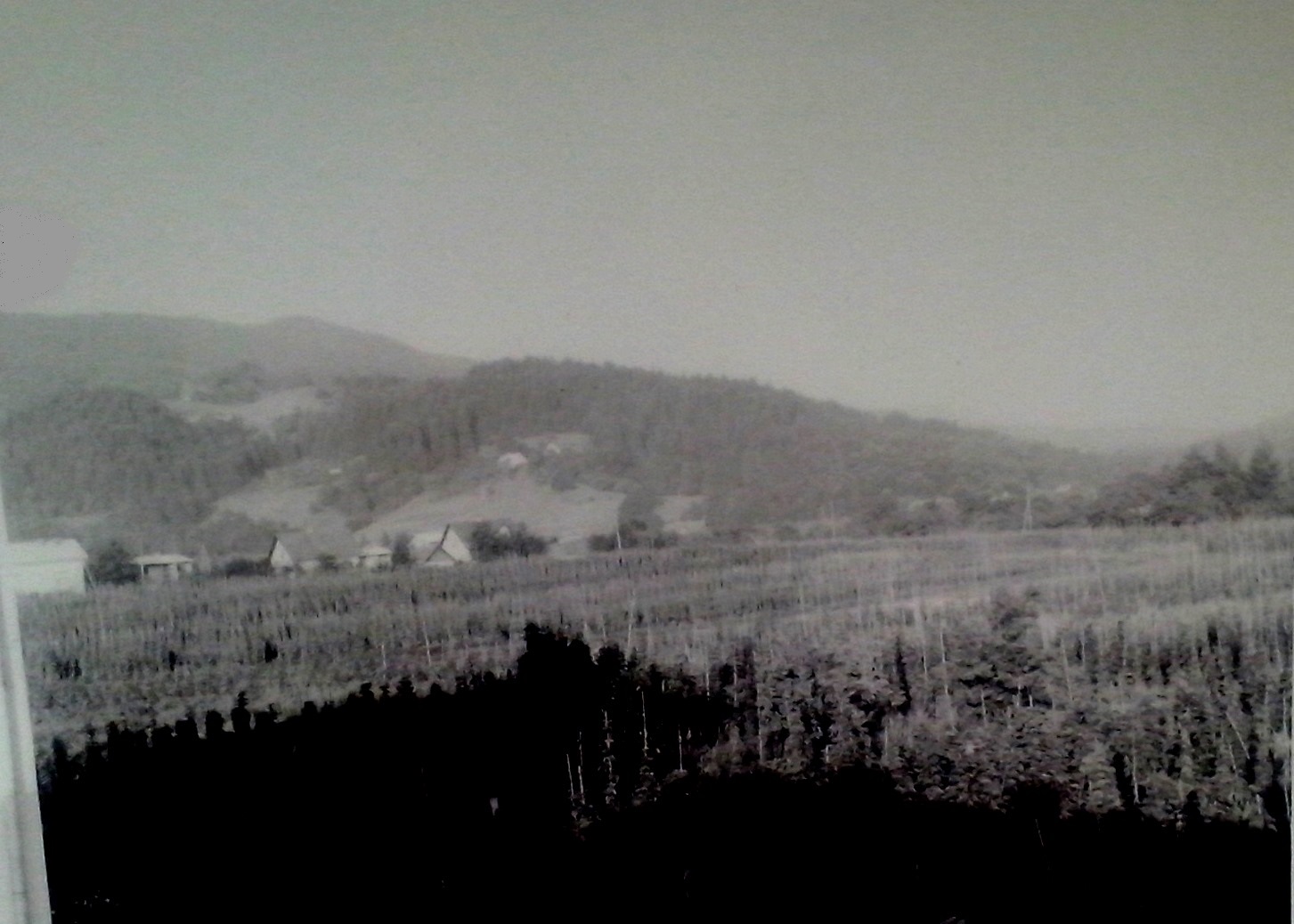 http://shramba.lovrenc.net/maxi/klepet/cam04376.jpg