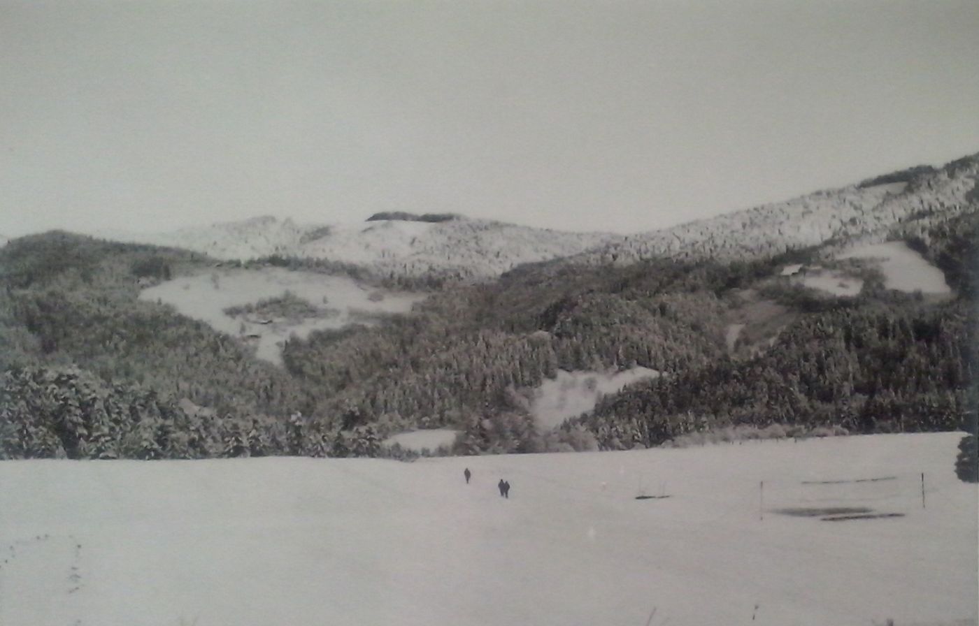 http://shramba.lovrenc.net/maxi/klepet/cam04381rdece-bregarji-p.jpg