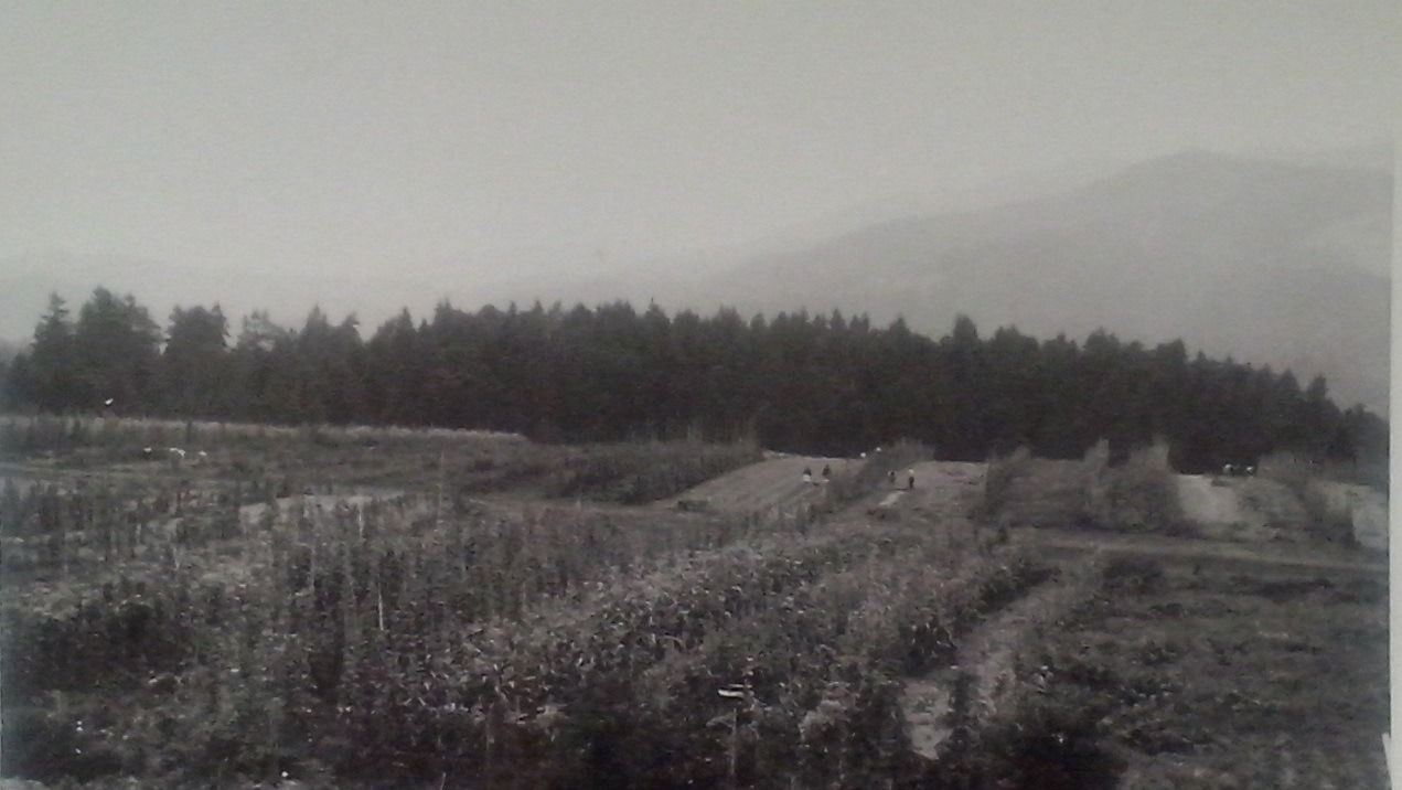 http://shramba.lovrenc.net/maxi/klepet/cam04384na-polju-v-70l.jpg