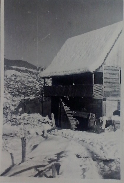 http://shramba.lovrenc.net/maxi/klepet/cam04477-pri-koglerju.jpg