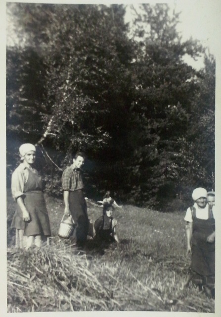 http://shramba.lovrenc.net/maxi/klepet/cam04487-zanjice-so-zejn.jpg