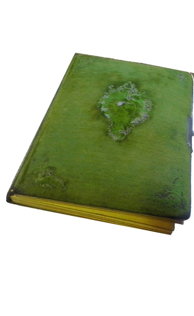 http://shramba.lovrenc.net/maxi/klepet/cam04515.jpg