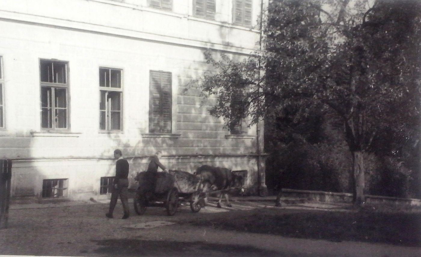 http://shramba.lovrenc.net/maxi/klepet/cam04731.jpg
