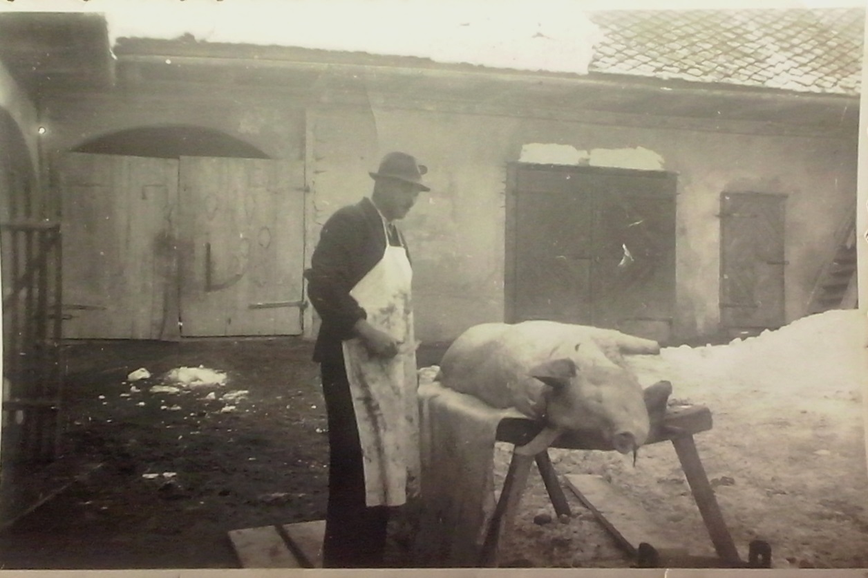 http://shramba.lovrenc.net/maxi/klepet/cam04750.jpg