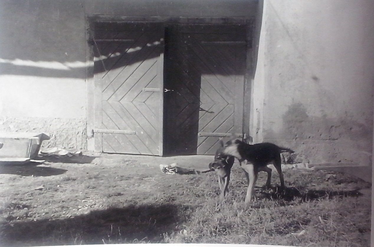http://shramba.lovrenc.net/maxi/klepet/cam04755.jpg