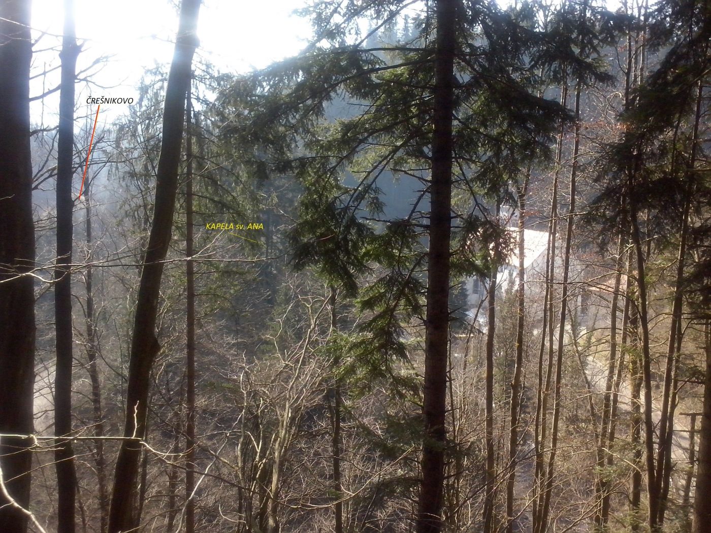 http://shramba.lovrenc.net/maxi/klepet/cam04825.jpg
