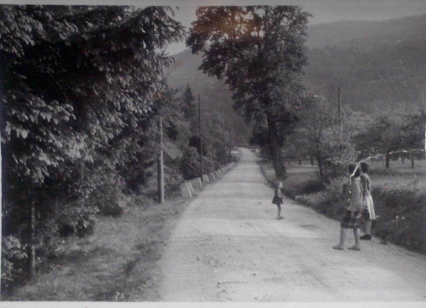 http://shramba.lovrenc.net/maxi/klepet/cam04973.jpg
