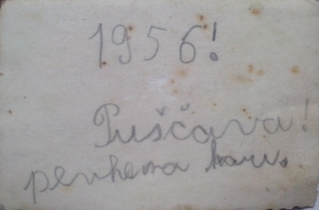 http://shramba.lovrenc.net/maxi/klepet/cam04987.jpg