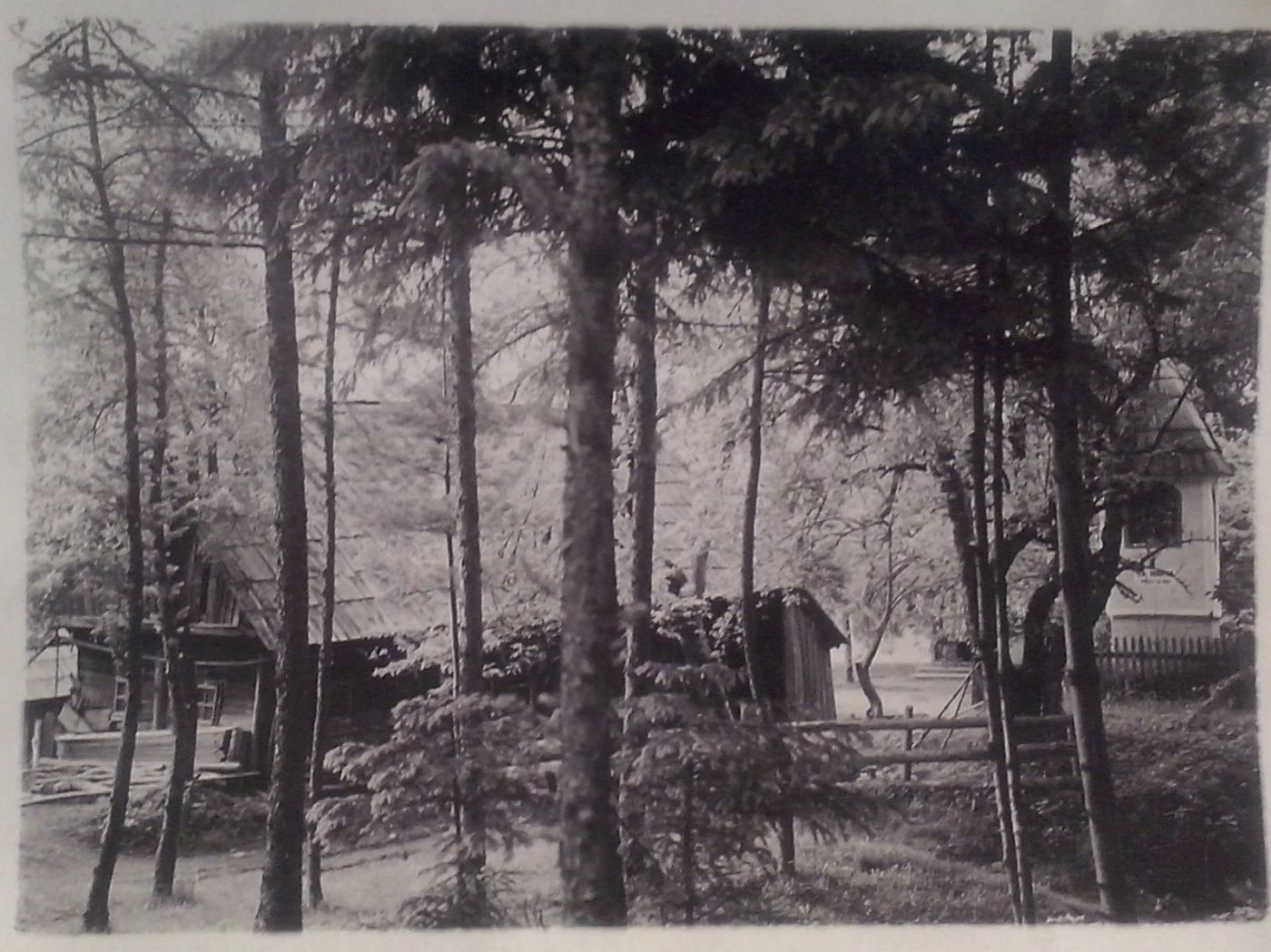 http://shramba.lovrenc.net/maxi/klepet/cam05030.jpg