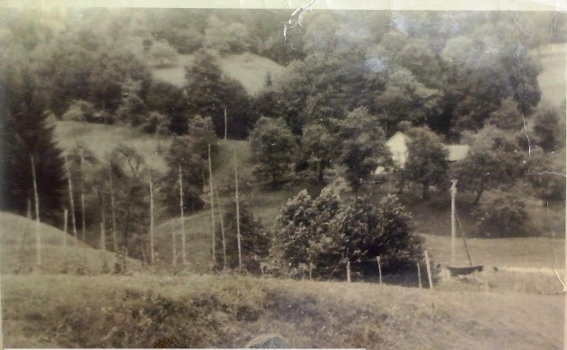 http://shramba.lovrenc.net/maxi/klepet/cam05443v-kurji-vasi.jpg